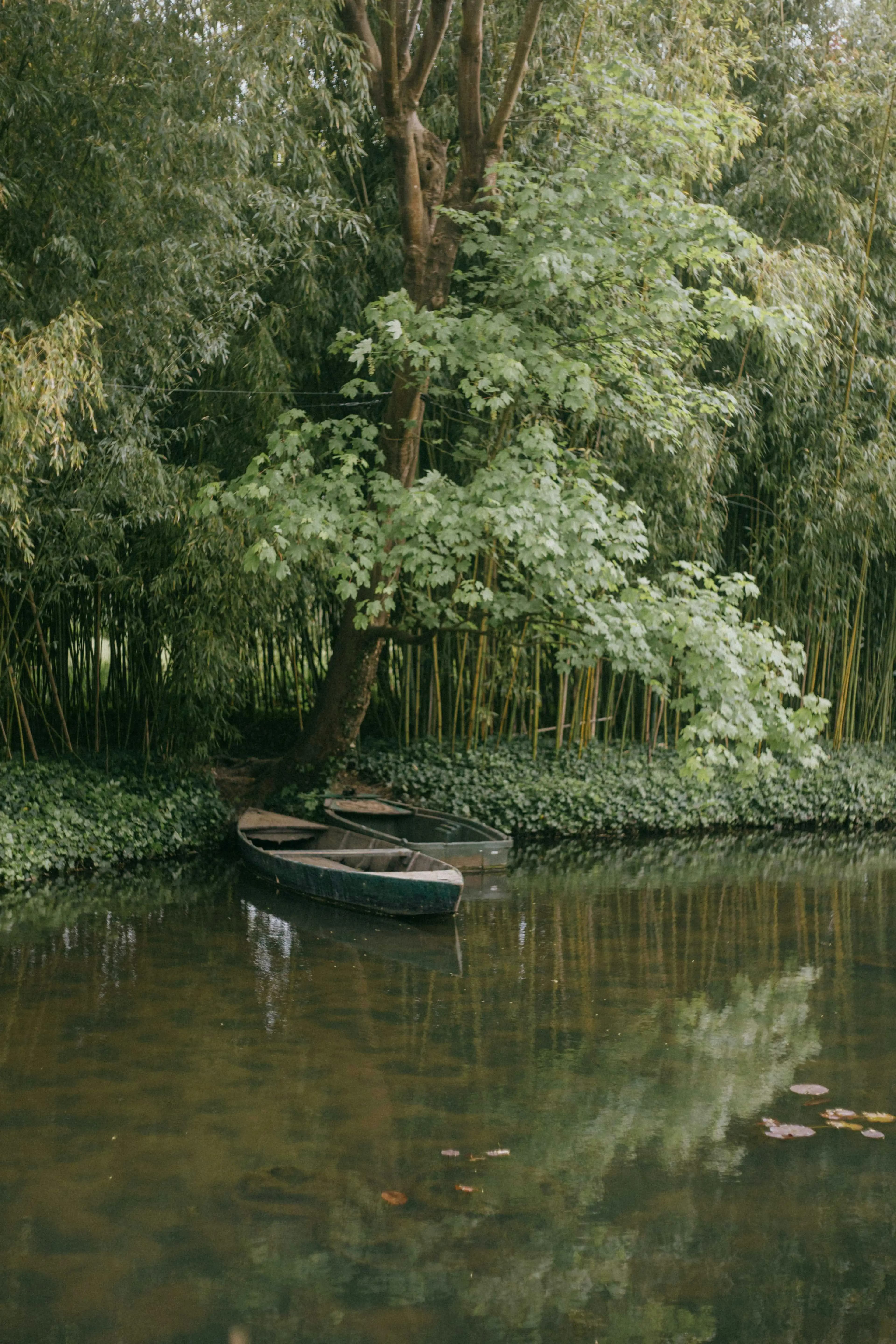 Giverny Jardin
